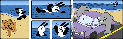 Beware of sharks