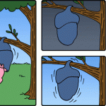 2014-07-23-Buni
