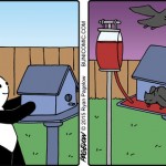 2015-10-09-Buni2