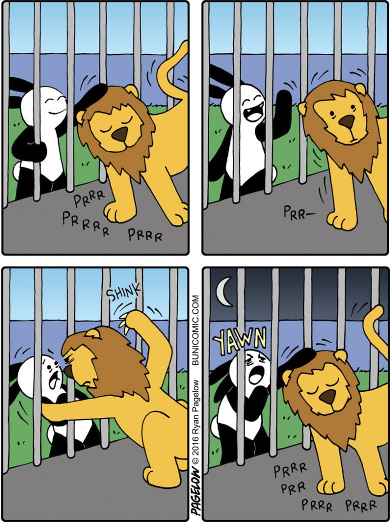 Buni » Buni