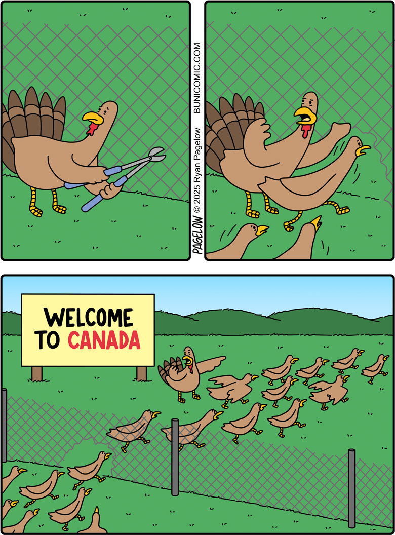 Headed north for the holidays