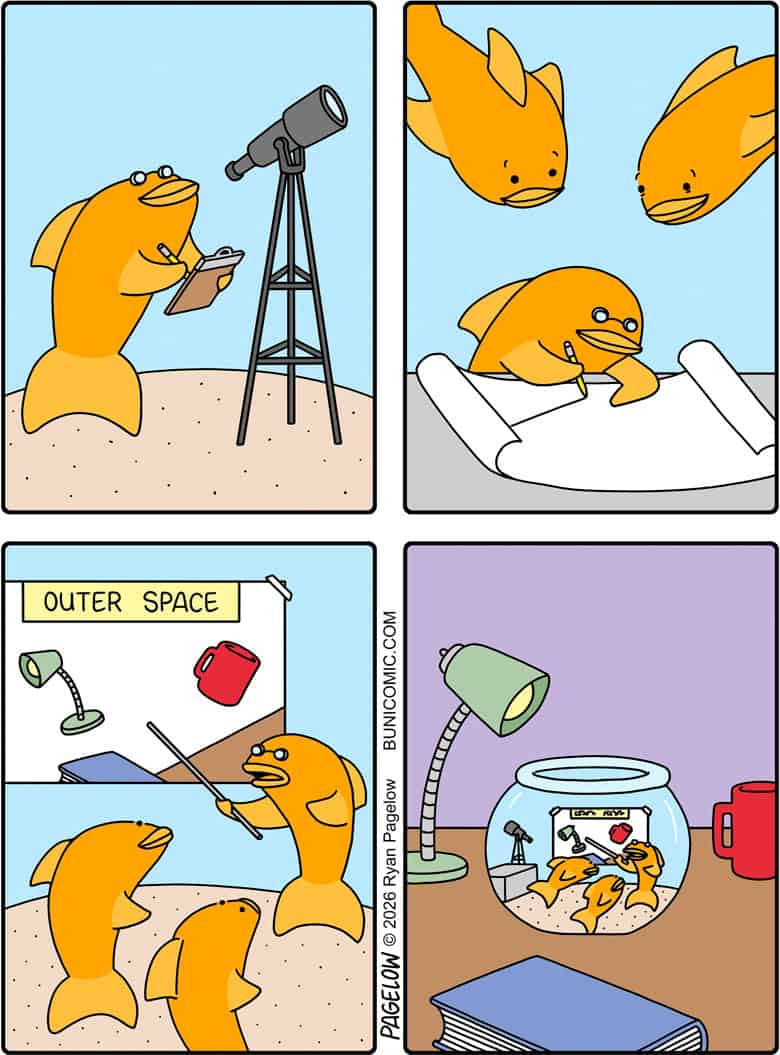 New Celestial Object Discovered
